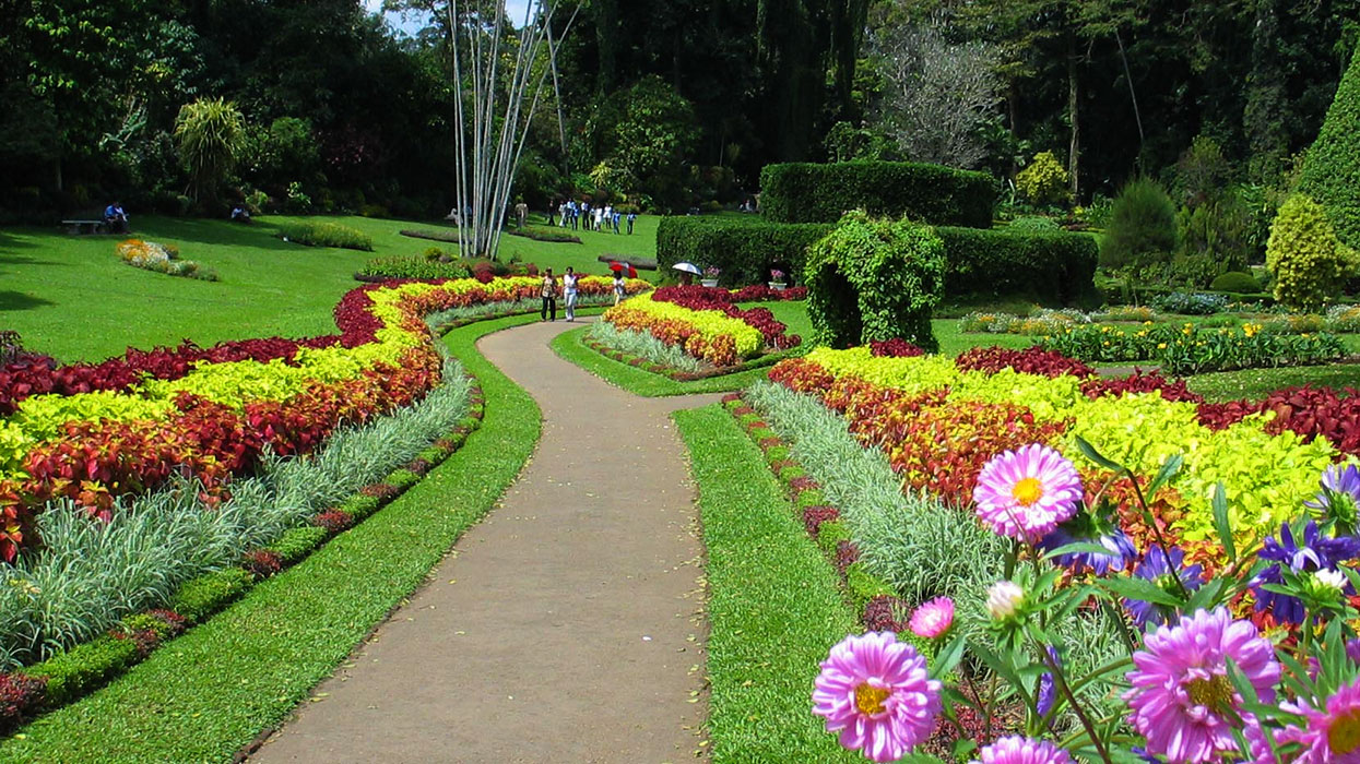 Colombo To Kandy Tour